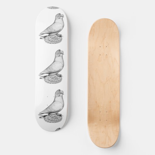 Russische duif skateboard (Voorkant)