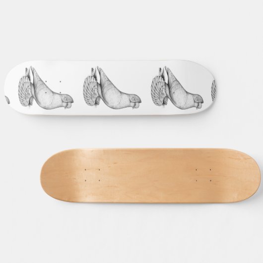 Russische duif skateboard (Horizontaal)