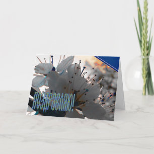 Russische felicitatiekaart met Cherry Flowers Kaart