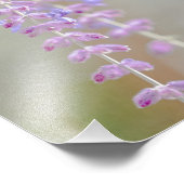 Russische fotografie foto afdruk (Hoek)