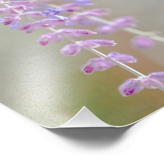 Russische fotografie foto afdruk (Hoek)