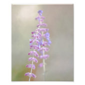 Russische fotografie foto afdruk (Voorkant)