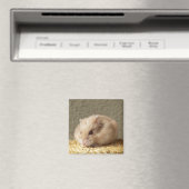 Russische hamster met volle Cheeks Magneet (Insitu (Vaatwasser))