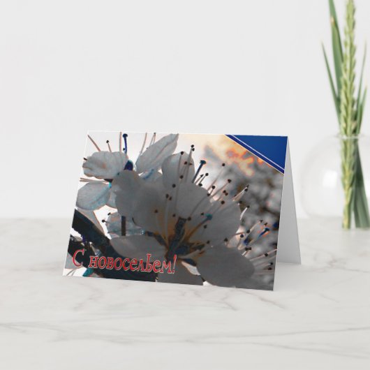 Russische Housewarming-kaart met Cherry Flowers (Voorkant)