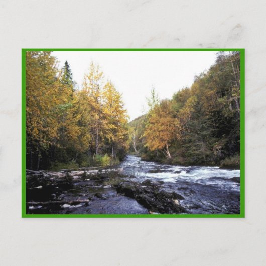 Russische rivier briefkaart (Voorkant)