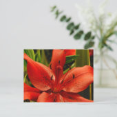 russische Romance Briefkaart (Staand voorkant)