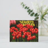 russische Romance Briefkaart (Staand voorkant)