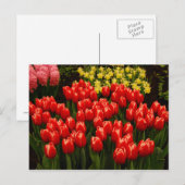 russische Romance Briefkaart (Voorkant / Achterkant)