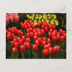 russische Romance Briefkaart