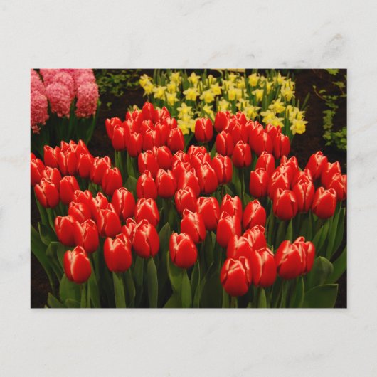 russische Romance Briefkaart (Voorkant)