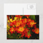 russische Romance Briefkaart (Voorkant / Achterkant)