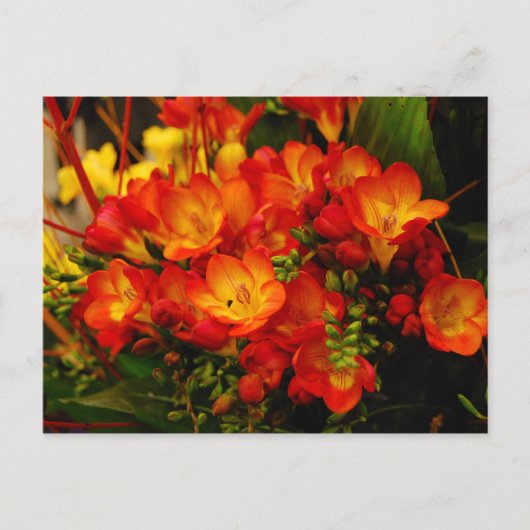russische Romance Briefkaart (Voorkant)