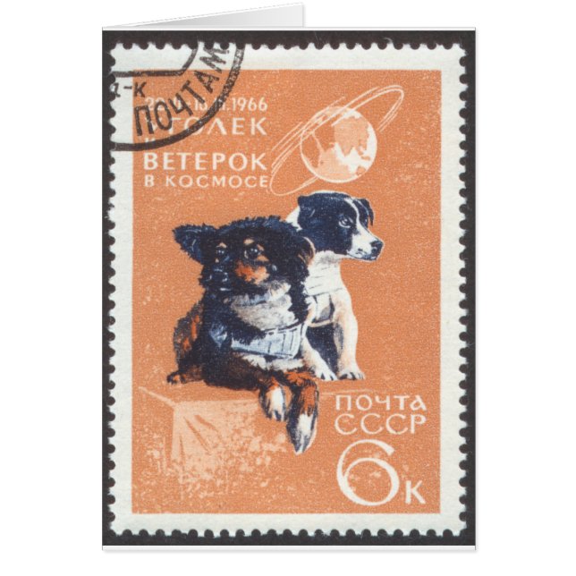 Russische ruimtehonden 1966 Cosmos 110 (Voorkant)