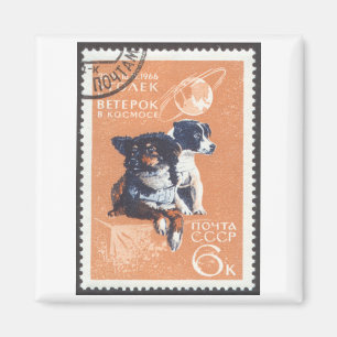 Russische ruimtehonden 1966 Cosmos 110 Magneet
