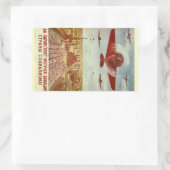  Russische stickers voor luchtvaartpropaganda (Tas)