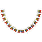 Russische vlag en feestelijke Russische banieren / Vlaggetjes (Alle)