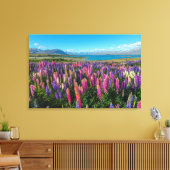 Russle Lupines bij het Tekapomeer | Nieuw-Zeeland Canvas Afdruk (Insitu (Woonkamer))