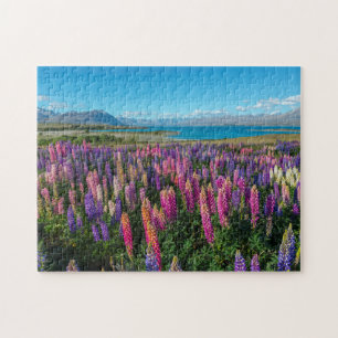 Russle Lupines bij het Tekapomeer   Nieuw-Zeeland Legpuzzel