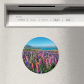 Russle Lupines bij het Tekapomeer | Nieuw-Zeeland Magneet (Insitu (Vaatwasser))