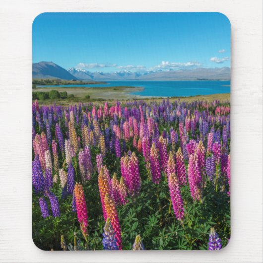 Russle Lupines bij het Tekapomeer | Nieuw-Zeeland Muismat (Voorkant)