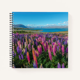 Russle Lupines bij het Tekapomeer   Nieuw-Zeeland Notitieboek