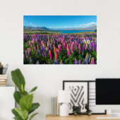 Russle Lupines bij het Tekapomeer | Nieuw-Zeeland Poster (Thuiskantoor)