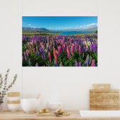 Russle Lupines bij het Tekapomeer | Nieuw-Zeeland Poster (Keuken)