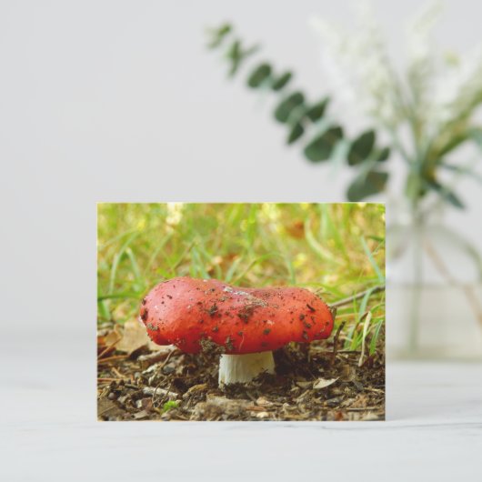 Russula Emetica Briefkaart (Staand voorkant)