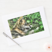 Rust Baby Wolf Pup Wildlife Foto Rechthoekige Sticker (Envelop)