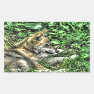 Rust Baby Wolf Pup Wildlife Foto Rechthoekige Sticker