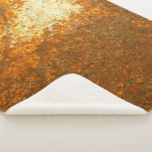 Rust backaardse abstract, oud, antiek, b sherpa deken (3/4)