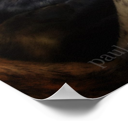 Rust brindled Lurcher Sight Hound Poster (Hoek)