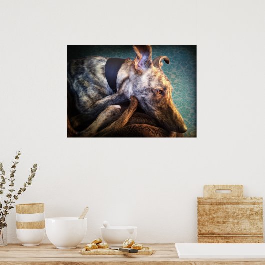 Rust brindled Lurcher Sight Hound Poster (Keuken)