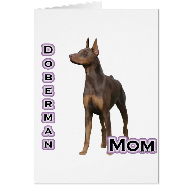 Rust Doberman Moeder 4 (Voorkant)