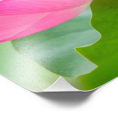 Rust: Een roze lotusbloem in bloei Foto Afdruk (Hoek)