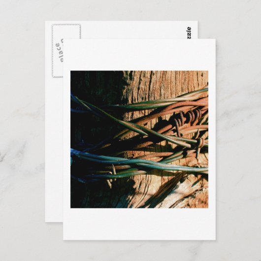 Rust en blauwe gestreepte draad briefkaart (Voorkant / Achterkant)