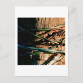 Rust en blauwe gestreepte draad briefkaart (Voorkant)