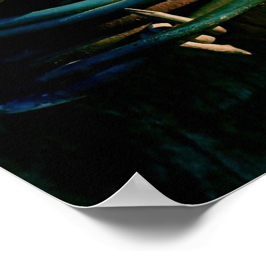 Rust en blauwe gestreepte draad poster (Hoek)