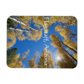 Rust en sereniteit Aspen bomen, Flagstaff, Arizona Magneet (Horizontaal)
