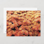 Rust, gekleurd briefkaart (Voorkant / Achterkant)