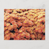 Rust, gekleurd briefkaart (Voorkant)