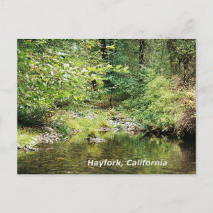 Rust in de bossen...... briefkaart