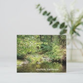 Rust in de bossen...... briefkaart (Staand voorkant)