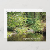 Rust in de bossen...... briefkaart (Voorkant / Achterkant)