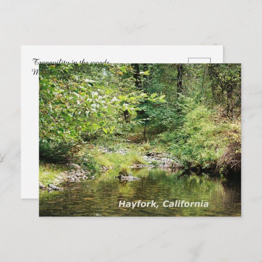 Rust in de bossen...... briefkaart (Voorkant / Achterkant)