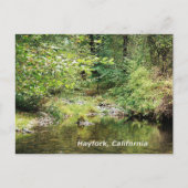 Rust in de bossen...... briefkaart (Voorkant)