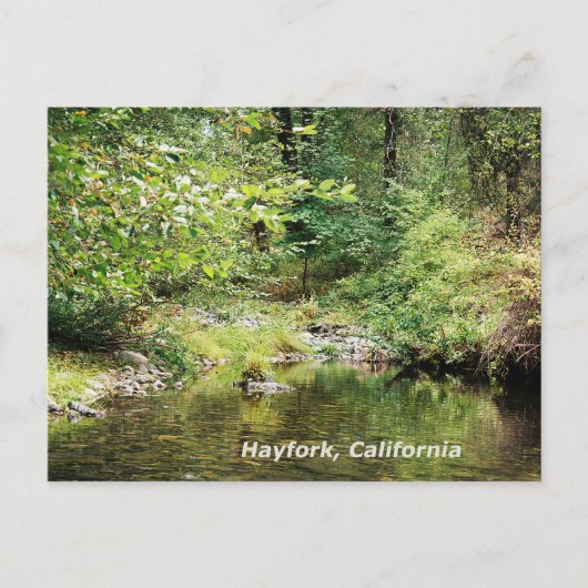 Rust in de bossen...... briefkaart (Voorkant)