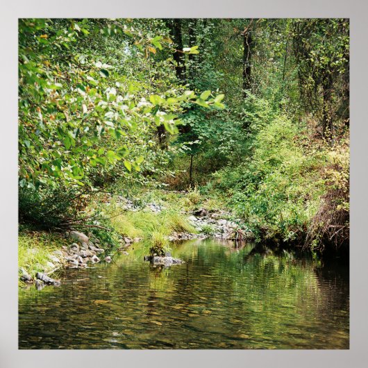 Rust in de bossen...... poster (Voorkant)