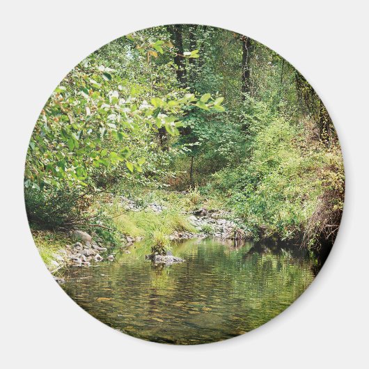 Rust in het bos...... magneet (Voorkant)