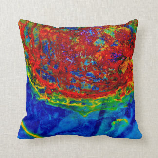 "Rust on Glass" JTG Art Pillow Kussen